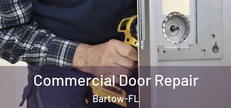 Commercial Door Repair Bartow-FL