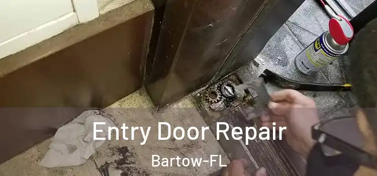Entry Door Repair Bartow-FL