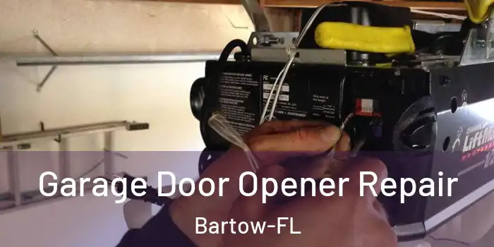 Garage Door Opener Repair Bartow-FL