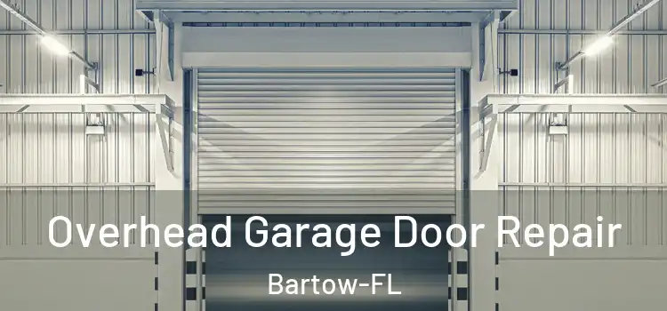 Overhead Garage Door Repair Bartow-FL